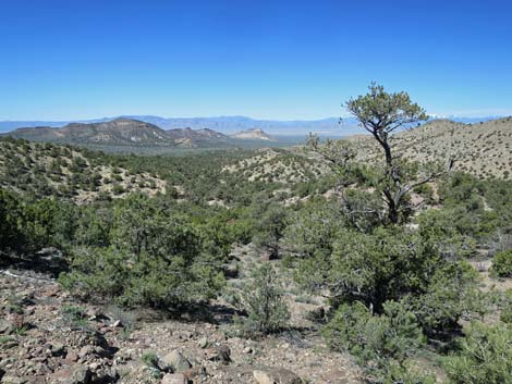 Basin and Range National Monument