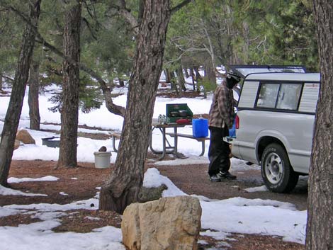 Mather Campground during winter