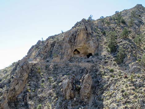 Mojave National Preserve