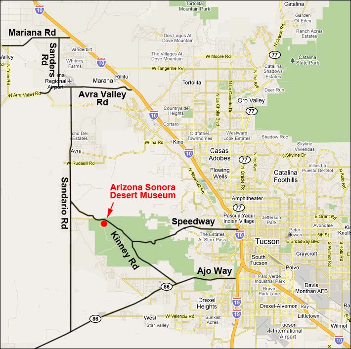 Arizona-Sonora Desert Museum Area Map