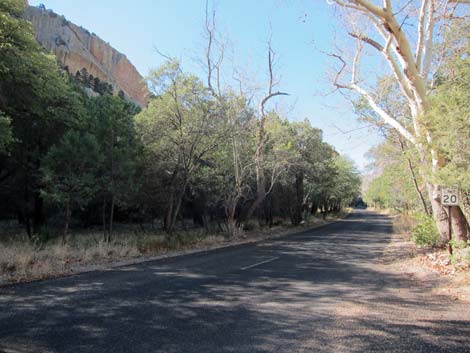 Cave Creek Road