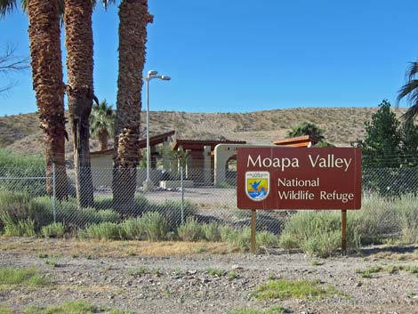 Moapa Valley National Wildlife Refuge