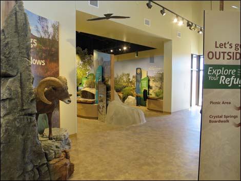 Ash Meadows Visitor Center