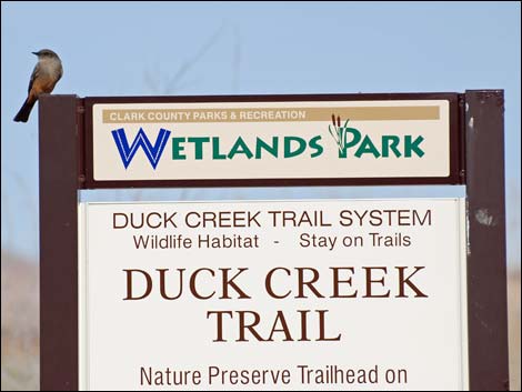 Duck Creek Trail