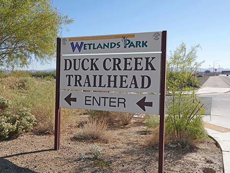 Duck Creek
