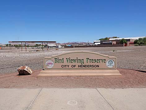 Henderson Bird Viewing Preserve