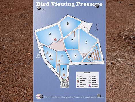 Henderson Bird Viewing Preserve
