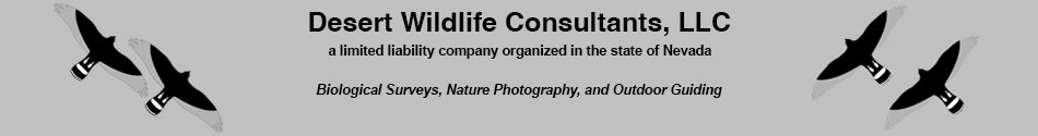 Desert Wildlife Consultants, LLC