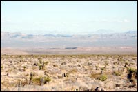 Mojave Desert Afternoon