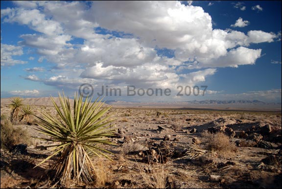 Mojave Desert Clouds