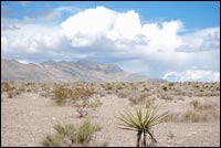 Mojave Desert Storm