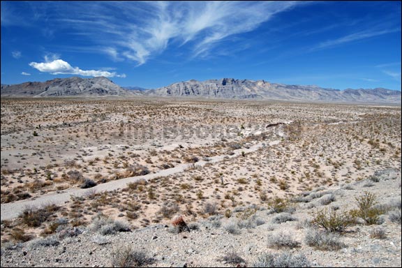 Mojave Desert Wash