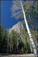 Cathedral Rock with Aspen