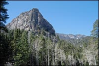 Cathedral Rock above Forest