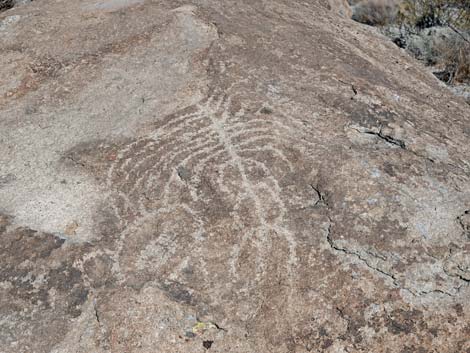 Ash Springs Petroglyph