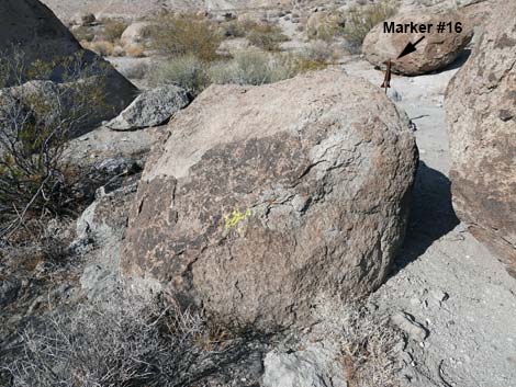 Ash Springs Petroglyph Site #16