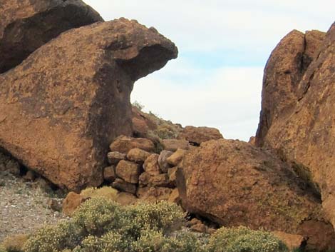 Mojave National Preserve Petroglyphs