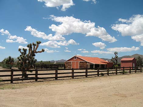 Walking Box Ranch, barn