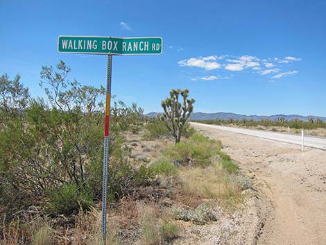 Walking Box Ranch