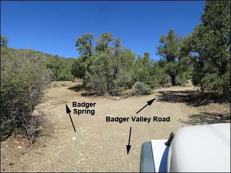 Badger Valley Road