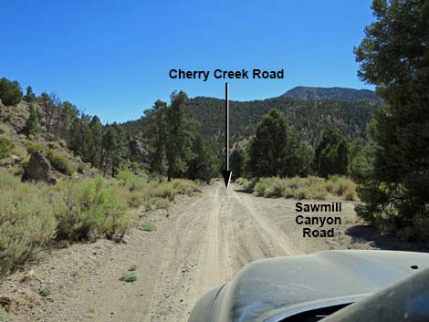Cherry Creek Road