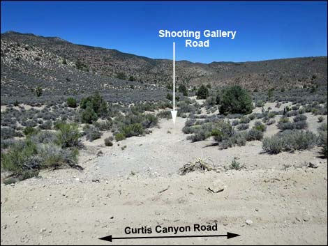 Curtis Canyon Road