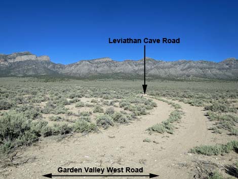 Leviathan Cave Road