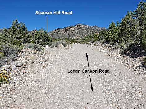 Logan Canyon Road