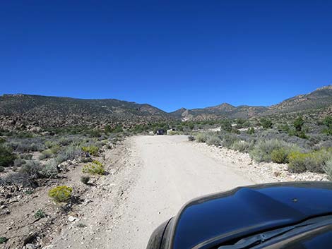 Logan Canyon Road