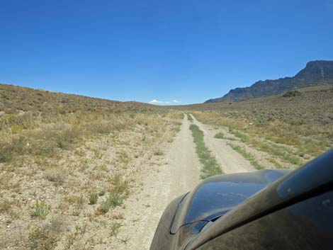 Timber Pass Road