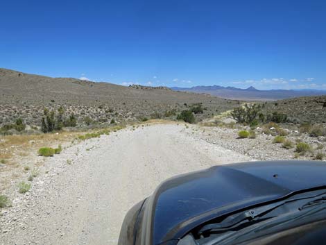 Timber Pass Road