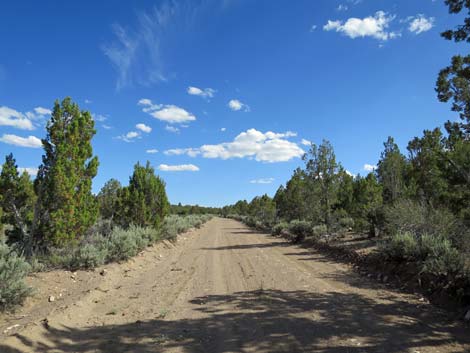 Wild Horse Valley Road