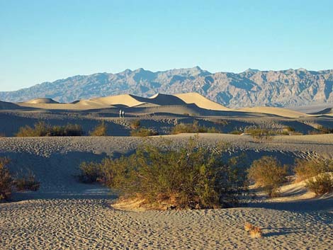 Stovepipe Wells Sand Dunes