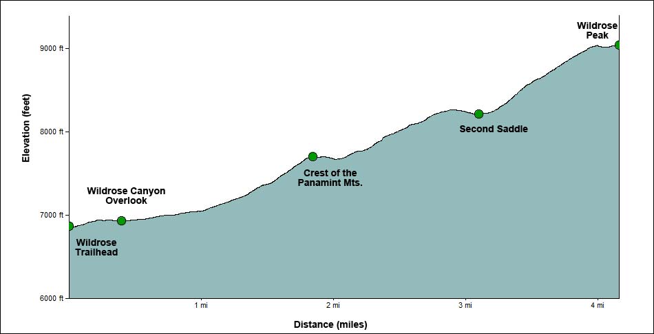 Wildrose Peak Trail Profile
