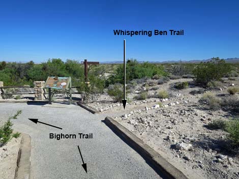 Bighorn Trail