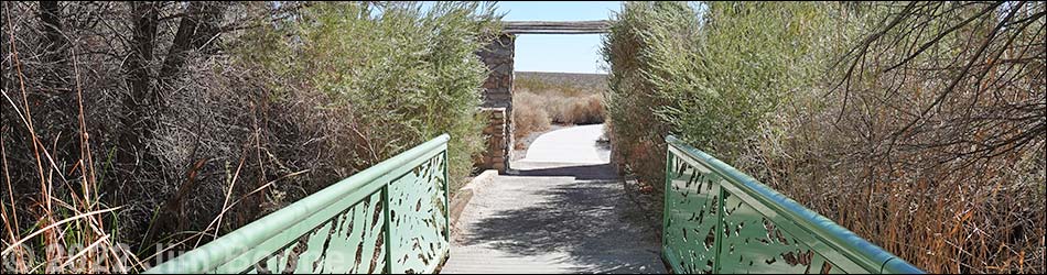 Jackrabbit Loop Trail