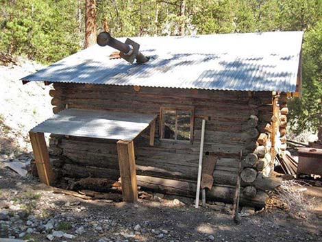 Hidden Forest Cabin Restoration