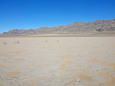 Desert Dry Lake Corral
