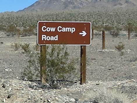 Cow Camp Road
