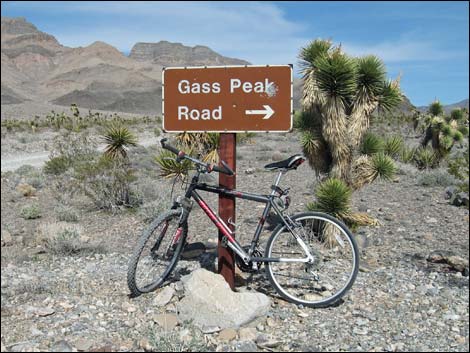 Gass Peak Road
