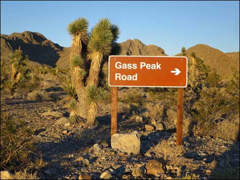 Gass Peak Road