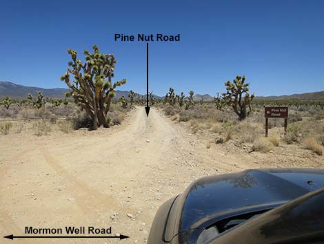 Pine Nut Road