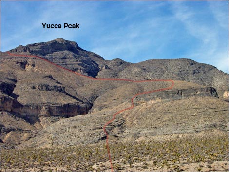 yucca peak