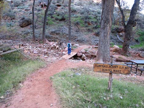 Plateau Point Trail