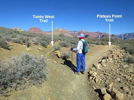Plateau Point Trail