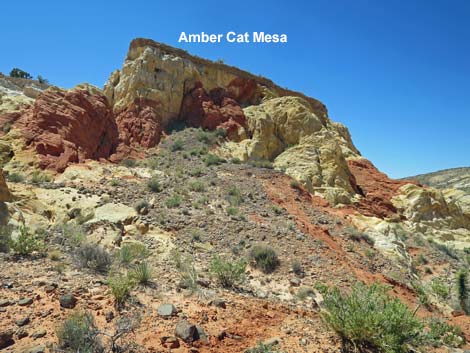 Amber Cat Canyon