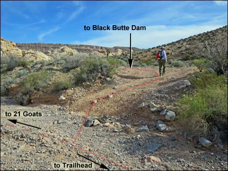 Black Butte Dam Direct