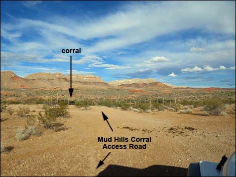 Mud Hills Corral Campsite