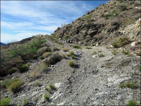 Mud Wash North Road  Nevada Mica Mine Road