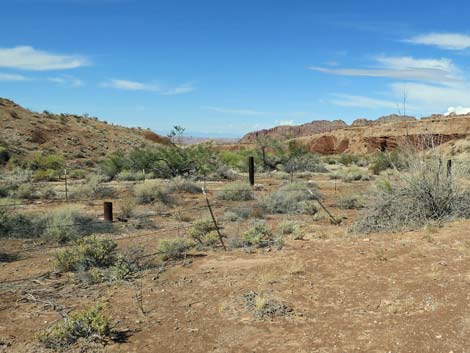 Gold Butte Wash Well